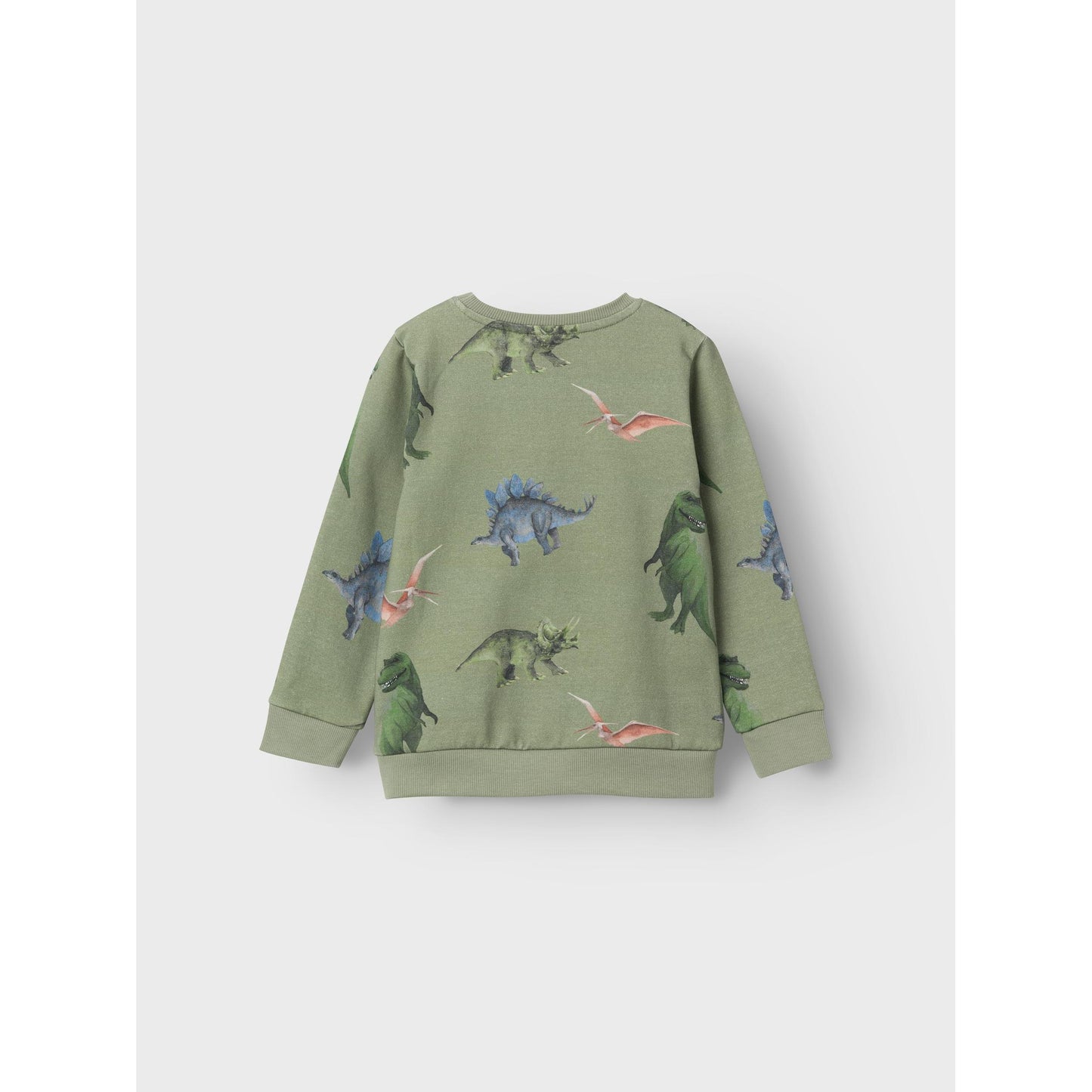 Sweat Pullover mit Dino-Print