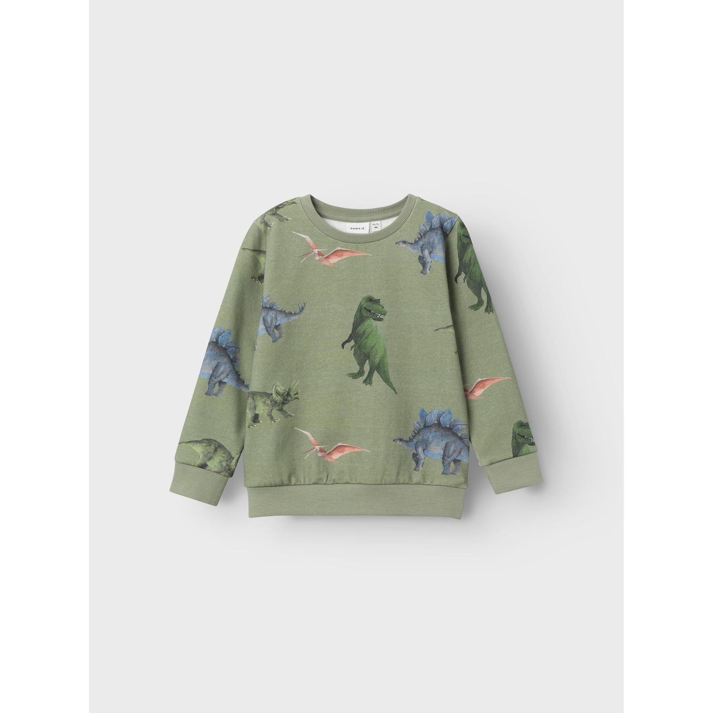 Sweat Pullover mit Dino-Print