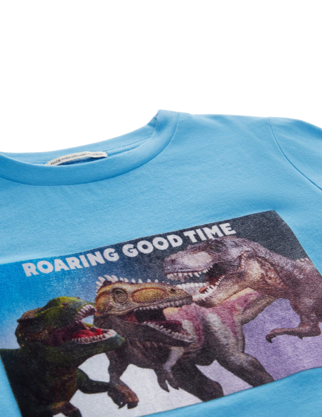 Longsleeve Dino Gang mit Samt-Print