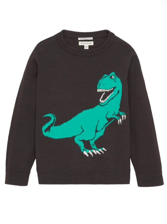 Feiner Strick-Pullover mit Dino
